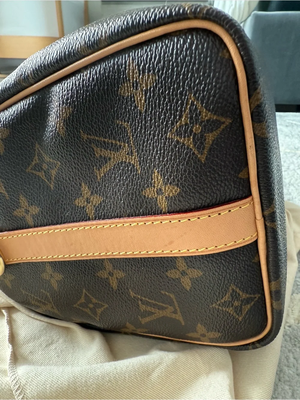 Louis Vuitton Monogram Speedy Bandoulière 25